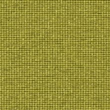Kiwi Swatch Teaser